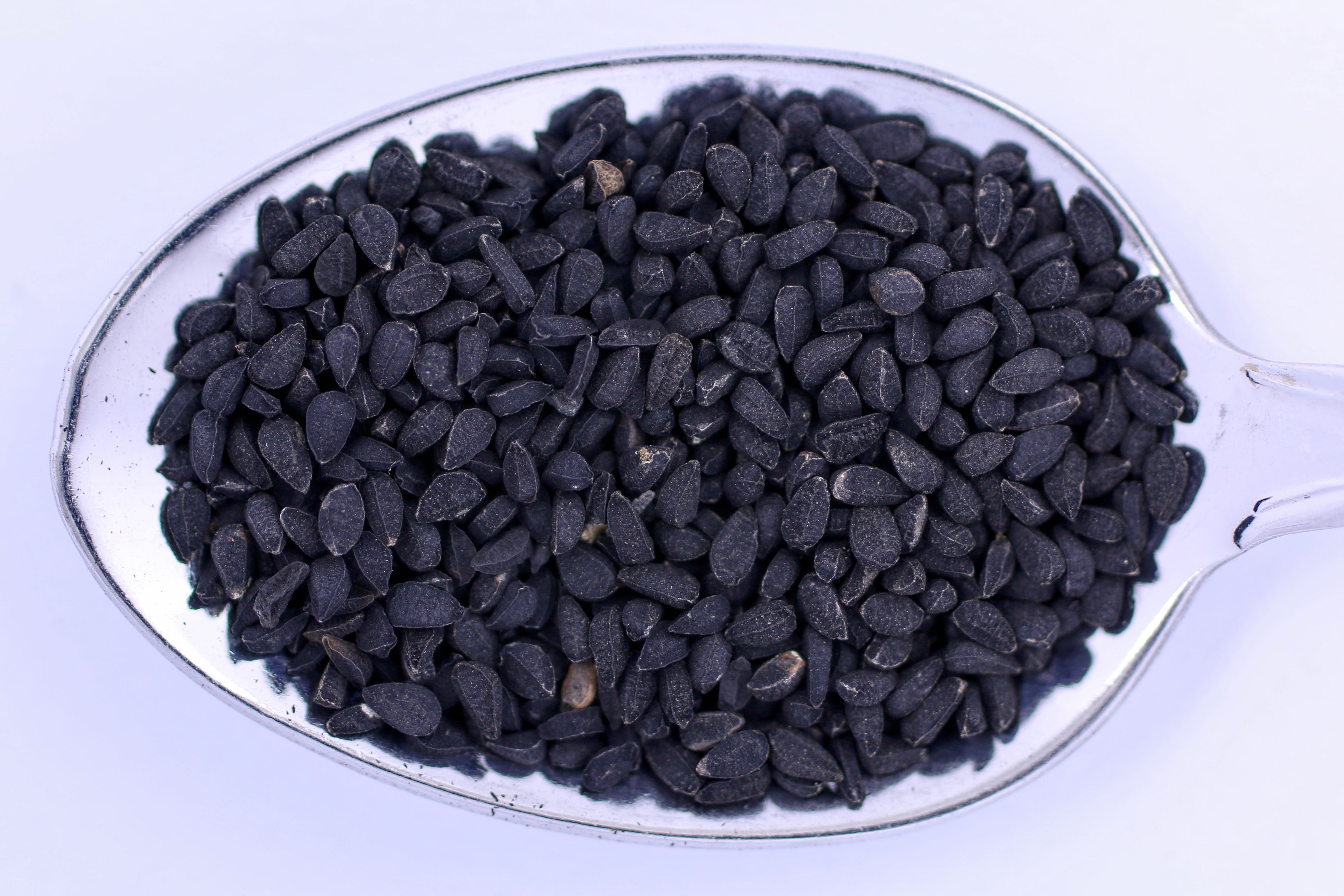 زيت حبة البركة العضوي النقي (135gm)