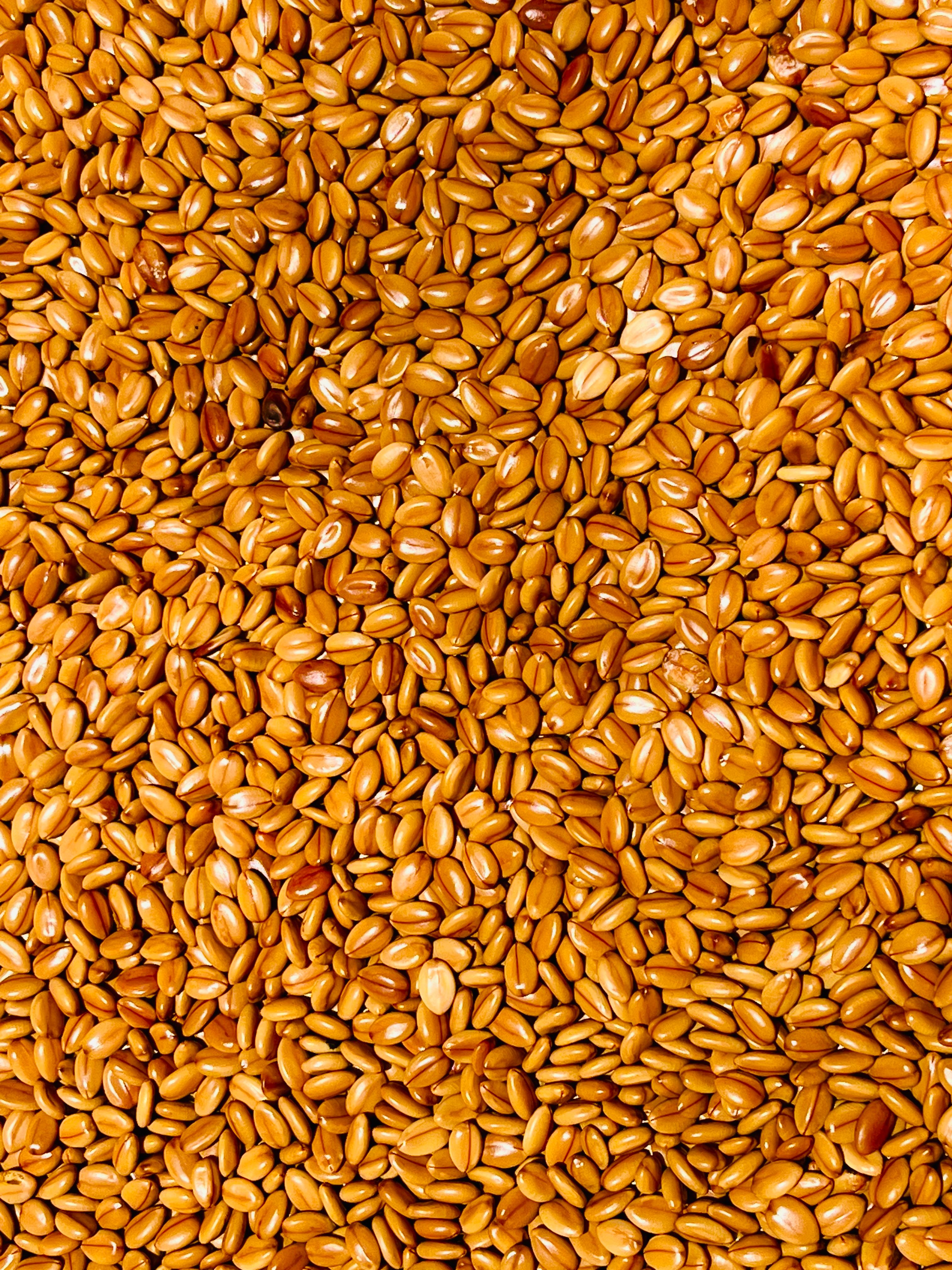 زيت الخروع الطبيعي النقي (135gm)